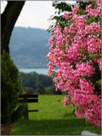 2010_08_Attersee_07