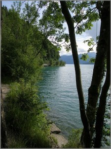 2010_08_Attersee_uw_15