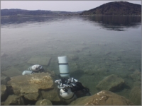 2011_04_Attersee_32