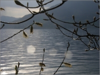 2011_04_Attersee_39