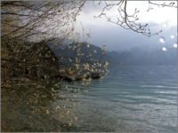 2011_04_Attersee_40