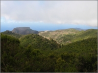 2011_11_Gomera_018