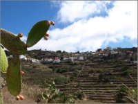 2011_11_Gomera_033