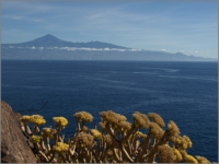 2011_11_Gomera_044