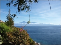 2011_11_Gomera_046