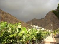 2011_11_Gomera_087