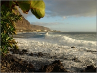 2011_11_Gomera_095