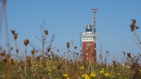 Helgoland 14