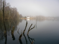 20110319_Hemmoor_04