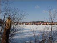 2010_02_Malchow_09