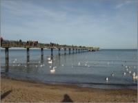 2008_02_Ostsee_01