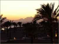 2012_09_SomaBay_01