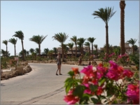 2012_09_SomaBay_03