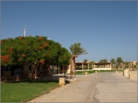 2012_09_SomaBay_04