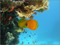 2012_09_SomaBay_16