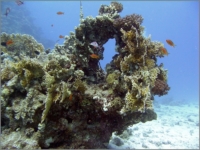 2012_09_SomaBay_23