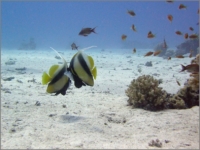 2012_09_SomaBay_25